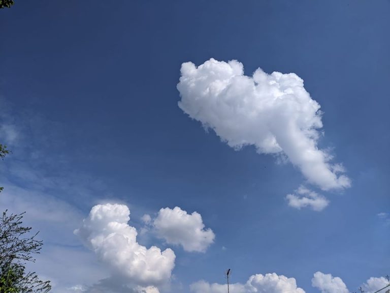 Featured image for: Thursday 16th April 2020