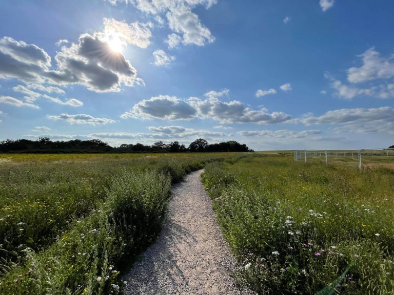 Monday 19th July 2021