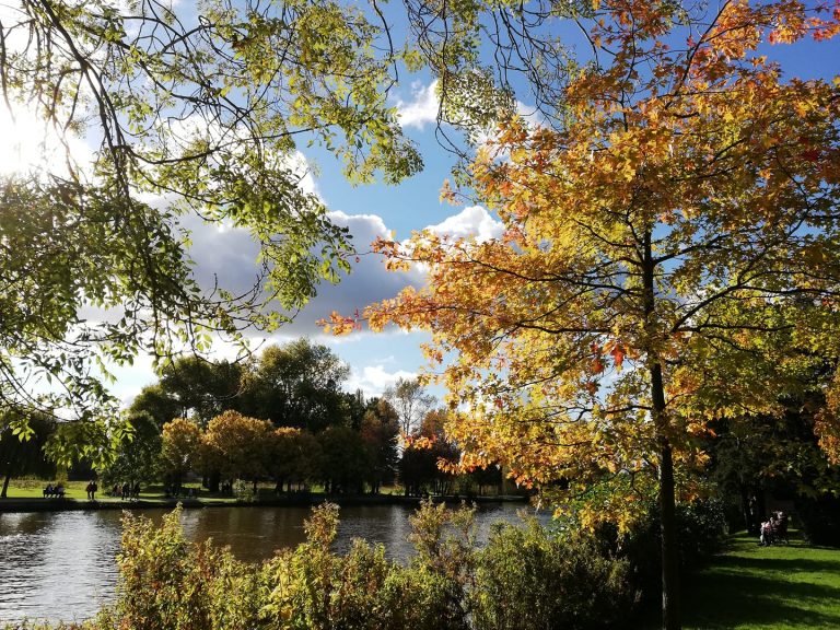 Autumn 2021 Weather Forecast