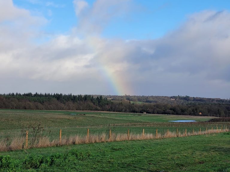Featured image for: Thursday 6th January 2022