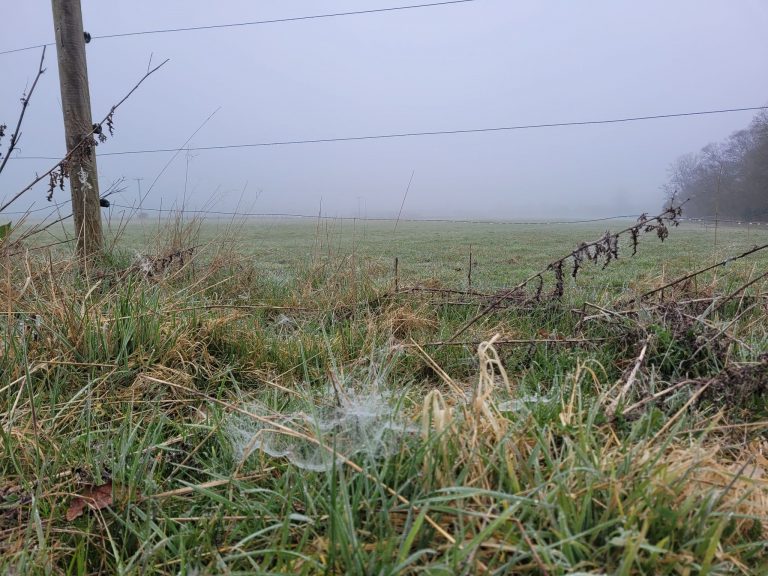 Monday 28th March 2022