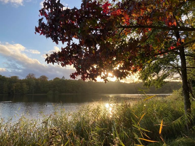 Autumn 2022 Weather Forecast