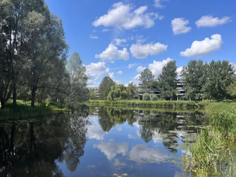 Friday 1st September 2023