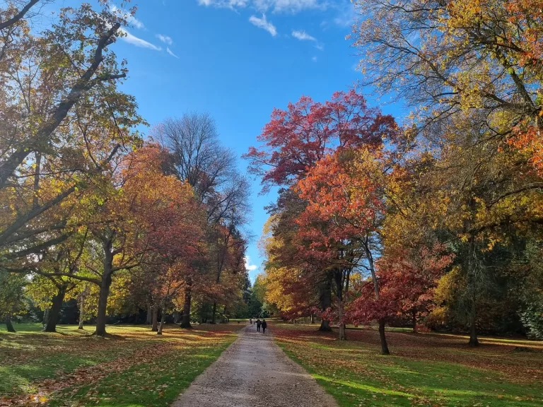 Photograph of recent weather in/around Reading