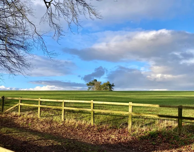 Featured image for: Monday 12th February 2024