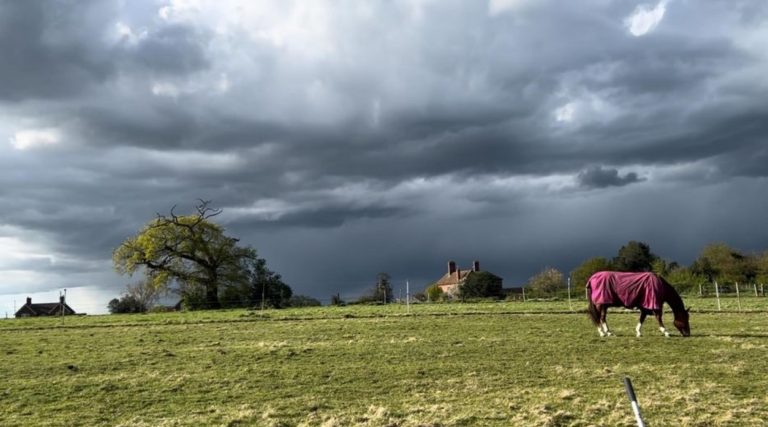 Thursday 2nd May 2024