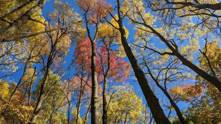 Photograph of recent weather in/around Reading