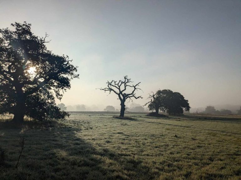 Featured image for: Thursday 17th October 2024