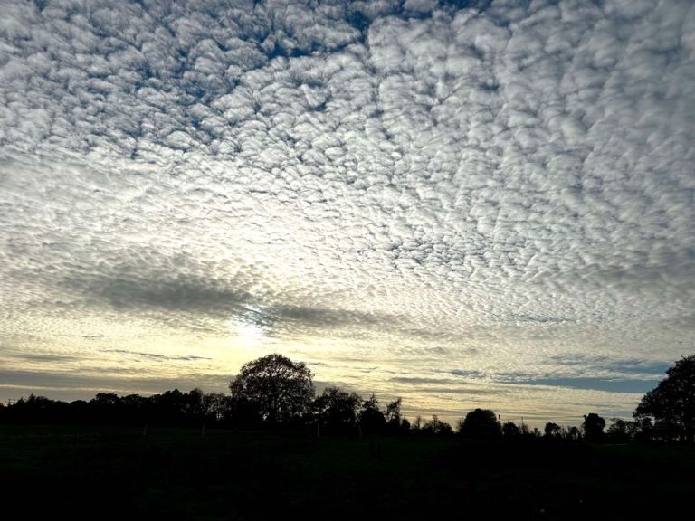 Featured image for: Friday 15th November 2024