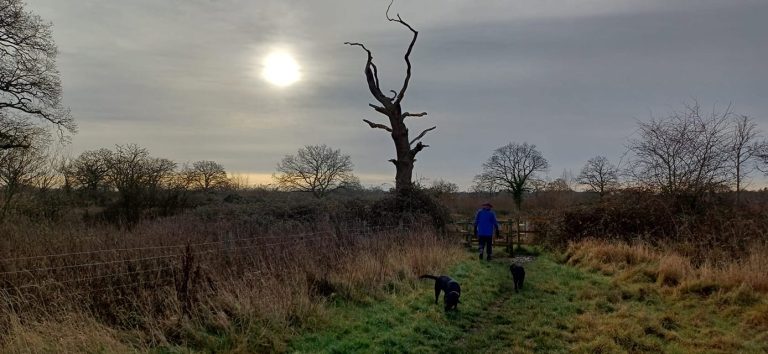 Photograph of recent weather in/around Reading