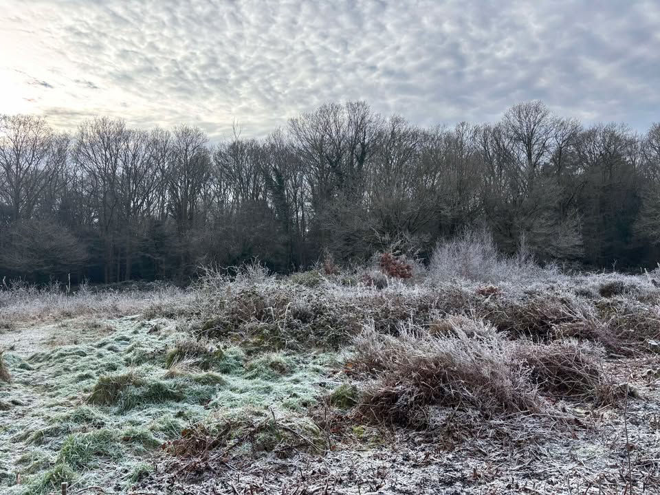 Sunday 12th January 2025