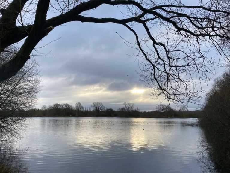 Thursday 16th January 2025