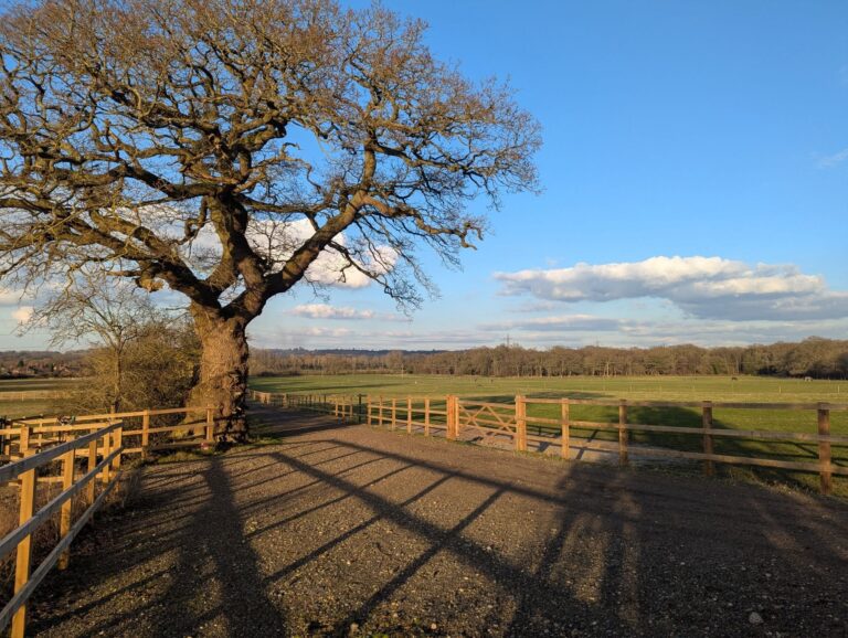 Photograph of recent weather in/around Reading