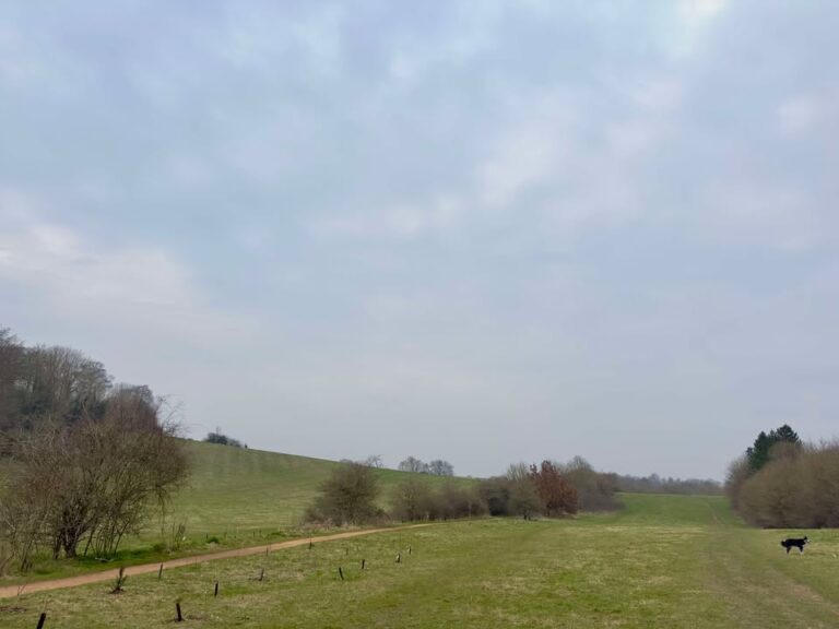 Featured image for: Friday 14th March 2025