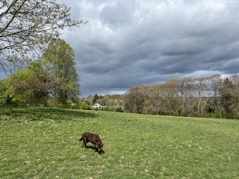 Thursday 17th April 2025
