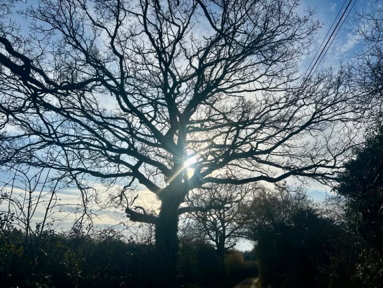 Friday 4th April 2025