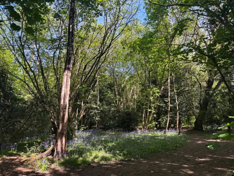 Thursday 1st May 2025