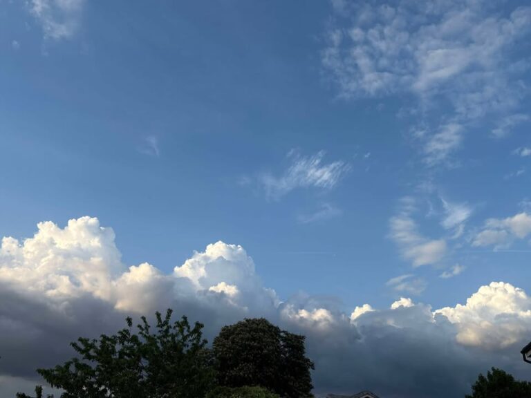 Monday 12th May 2025