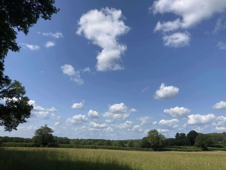 Thursday 19th June 2025