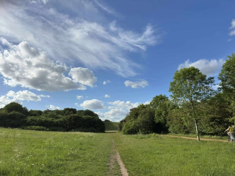 Wednesday 11th June 2025