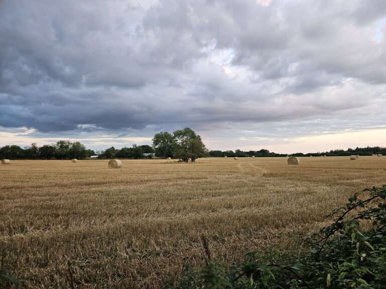 Thursday 31st July