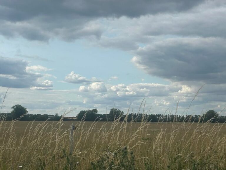 Sunday 13th July 2025