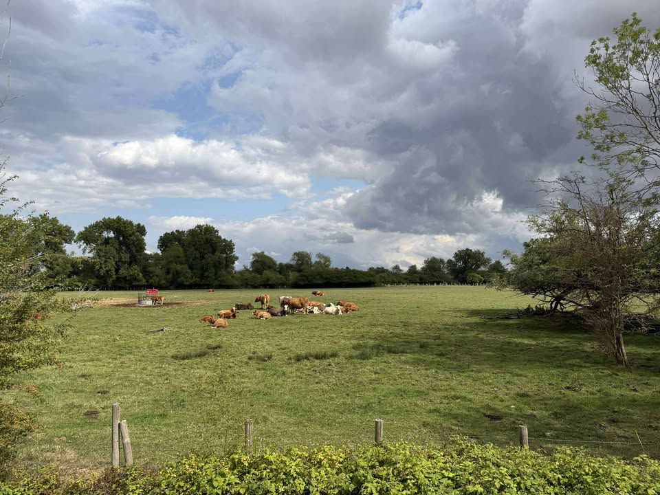 Thursday 7th August 2025