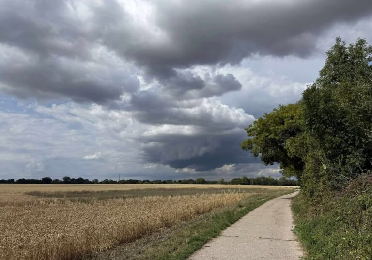 Thursday 21st August 2025