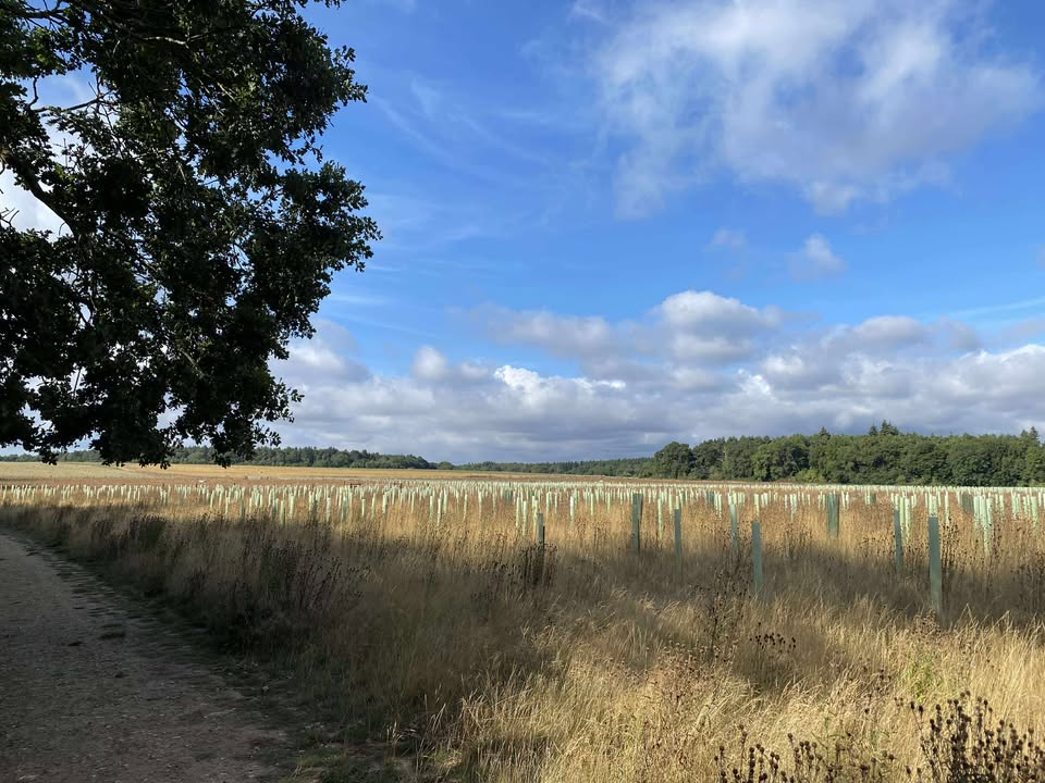 Sunday 17th August 2025