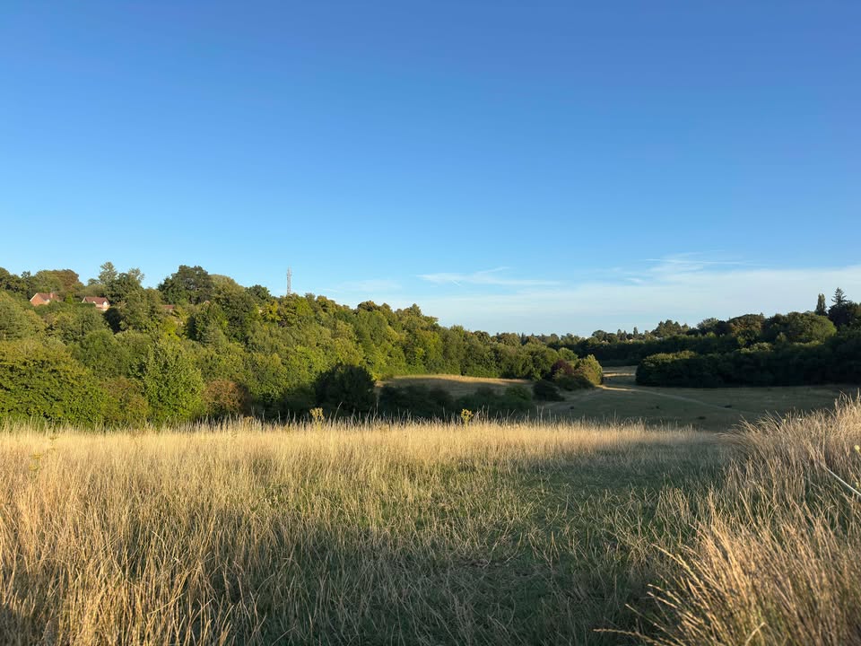 Sunday 10th August 2025