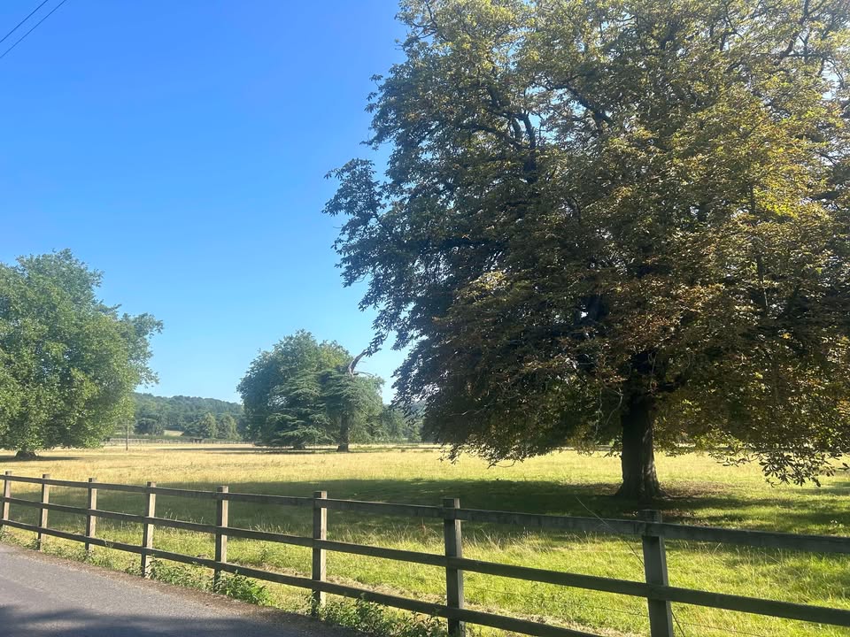 Thursday 14th August 2025