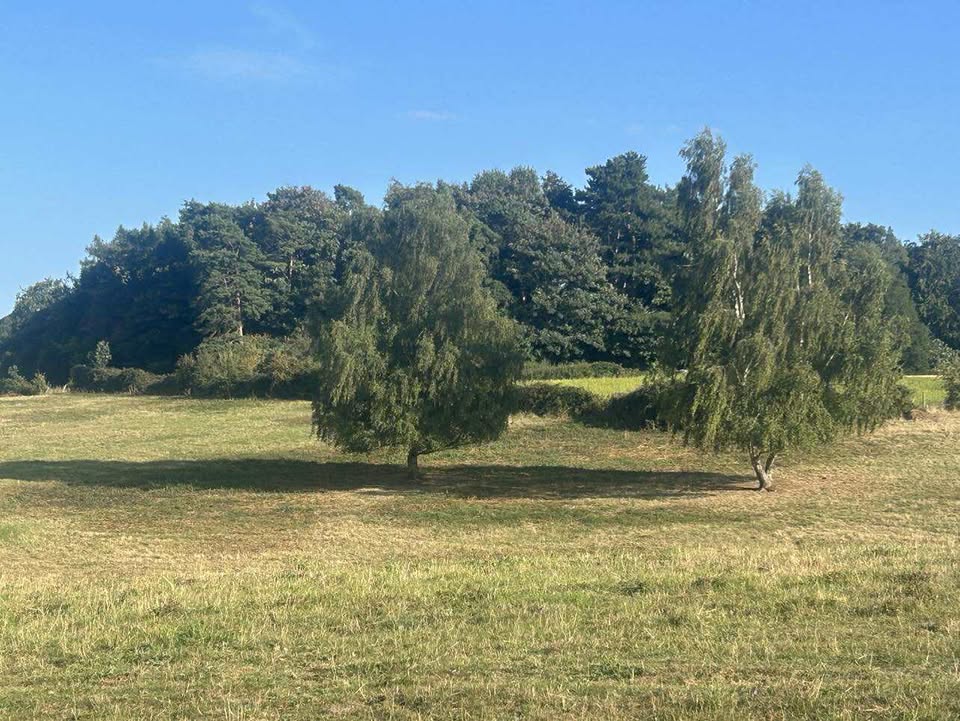 Sunday 24th August 2025