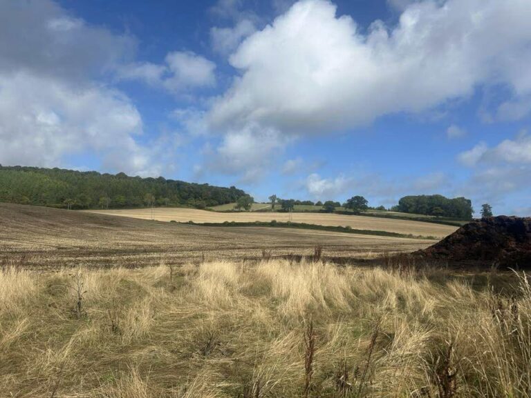 Sunday 21st September 2025