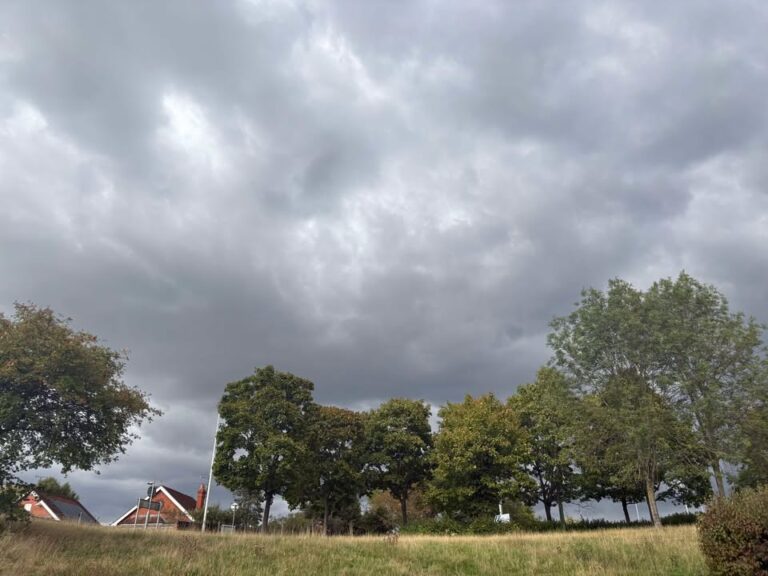 Thursday 16th October 2025