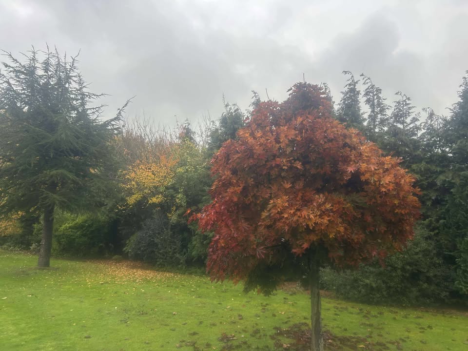 Thursday 23rd October 2025