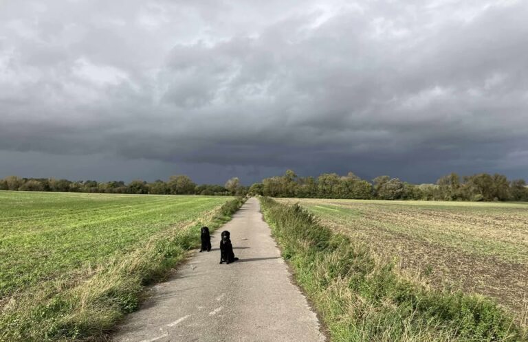 Photograph of recent weather in/around Reading