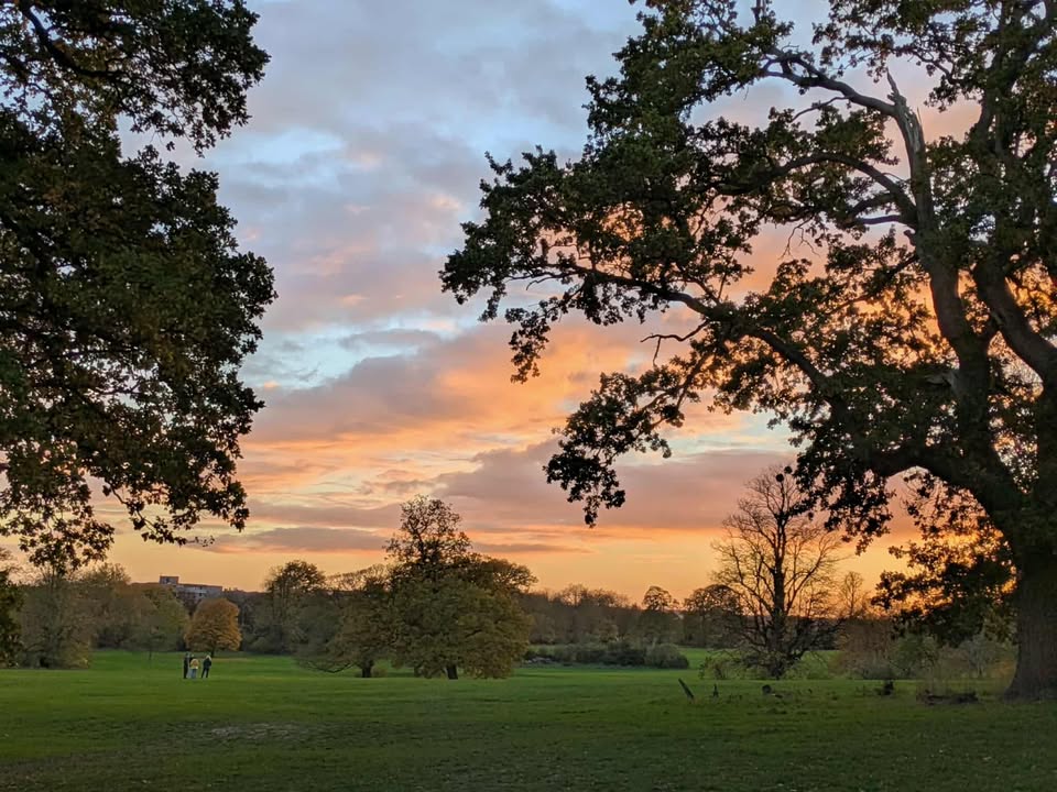 Wednesday 19th November 2025