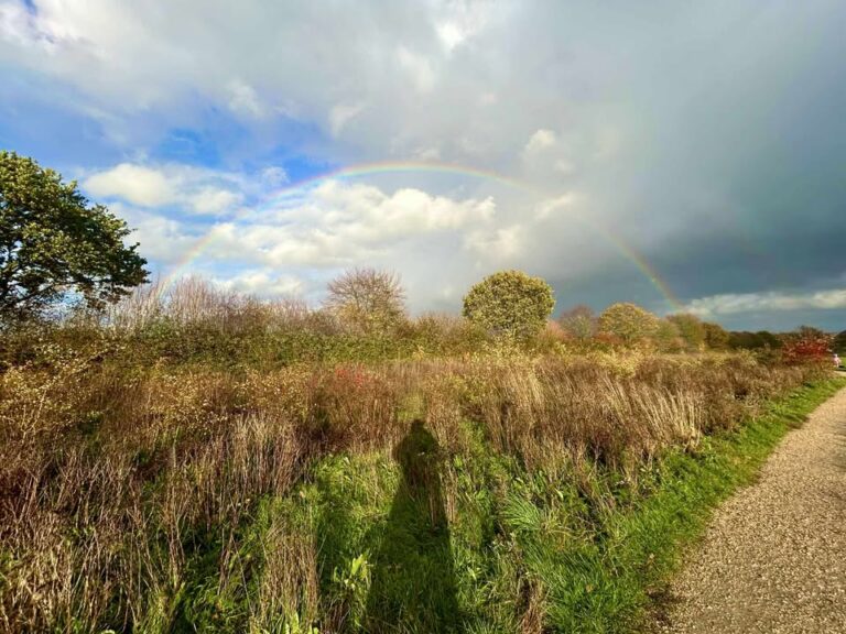 Photograph of recent weather in/around Reading