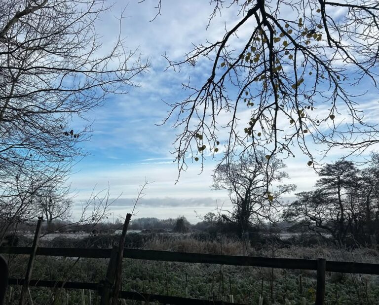 Photograph of recent weather in/around Reading