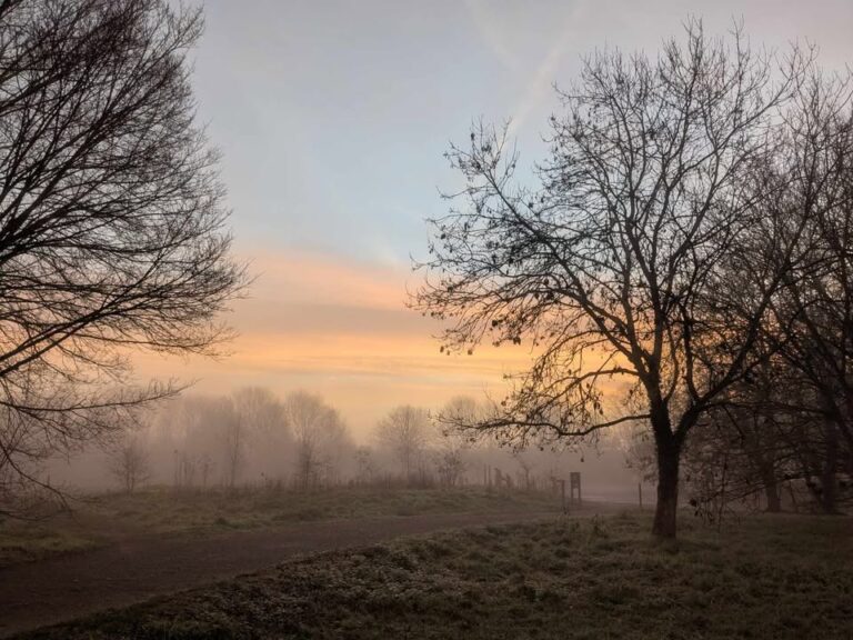 Photograph of recent weather in/around Reading