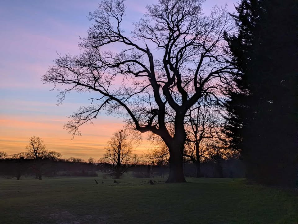 Thursday 1st January 2026