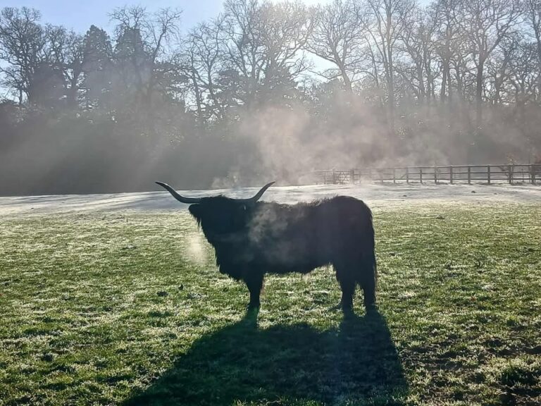 Photograph of recent weather in/around Reading