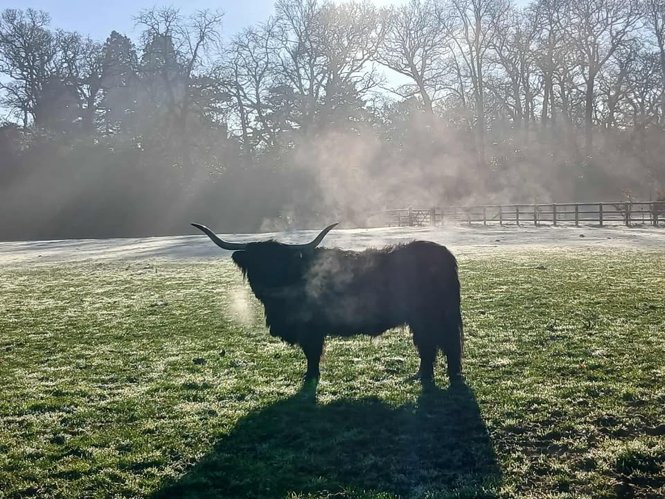 Sunday 18th January 2026