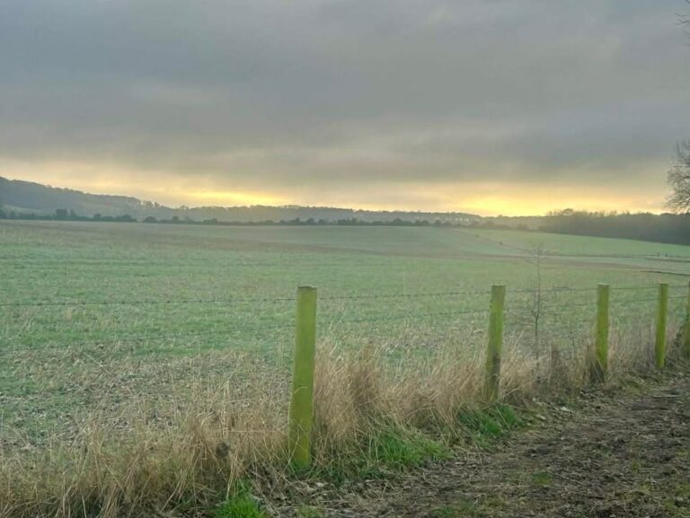 Photograph of recent weather in/around Reading