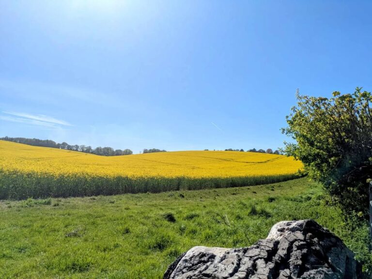 Sunday 26th April 2026