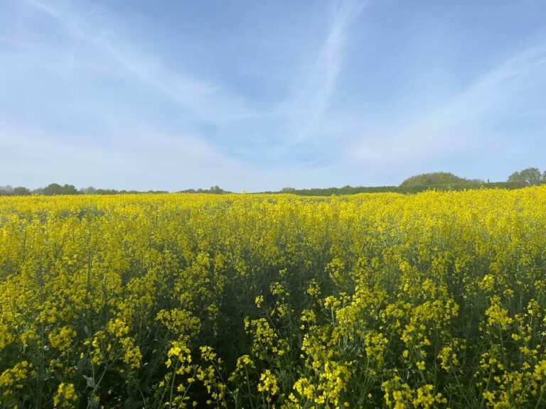 Wednesday 29th April 2026