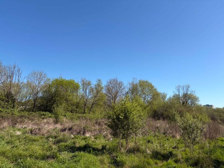 Thursday 23rd April 2026